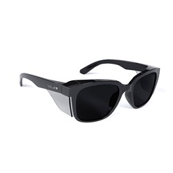 Bollé Safety STKS 410 Spec - Smoke - Black Frame